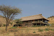 Signature Serengeti Luxury Tented Safari Camp