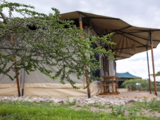 Safari Haven Migration Camp