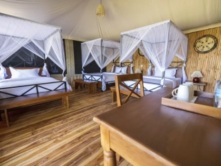 Safari Haven Migration Camp