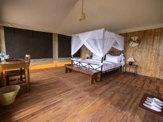 Safari Haven Migration Camp