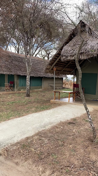 Tarangire Safari Lodge