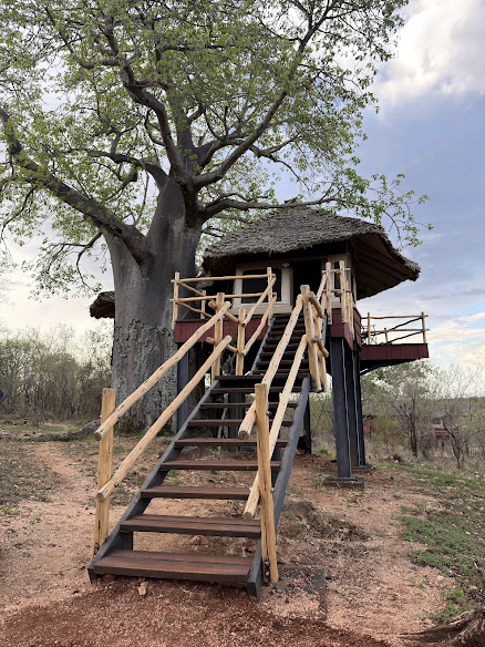 Elewana Tarangire Treetops
