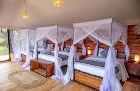 Serengeti Classic View Camp – Central Serengeti