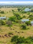 Serengeti Safari Lodge