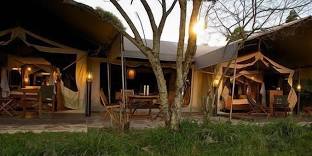 Fig Tree Camp