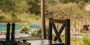 Fig Tree Camp