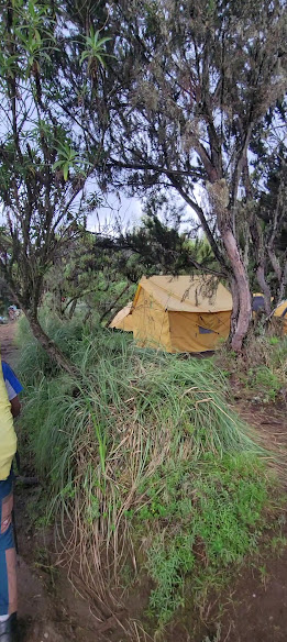 Machame Camp