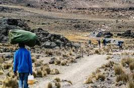 Moir Hut