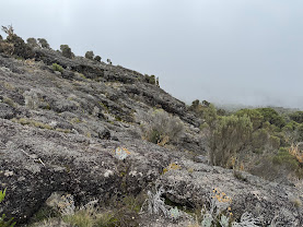 Moir Hut