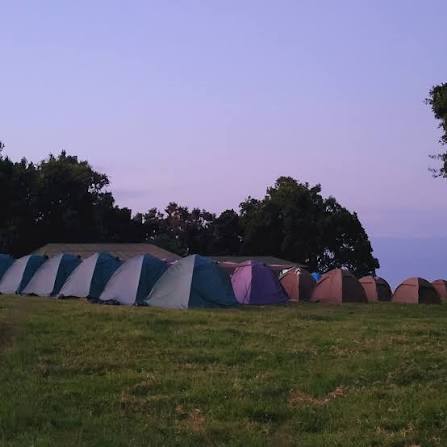 Simba Public Campsite - Ngorongoro