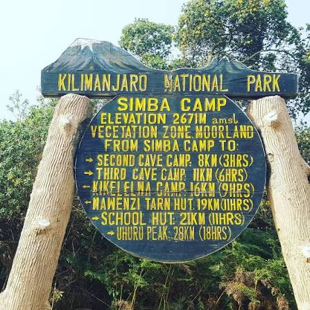 Simba Camp
