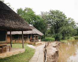 Wildlife Camp