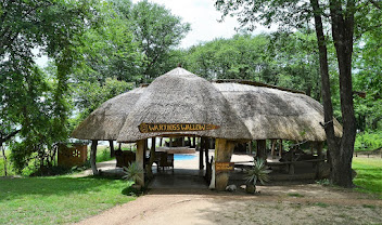 Wildlife Camp