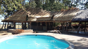 Wildlife Camp