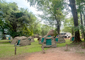Wildlife Camp
