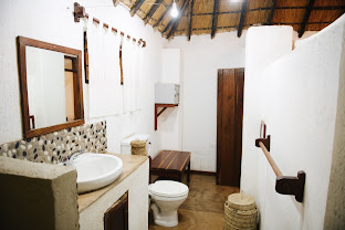 Wildlife Camp