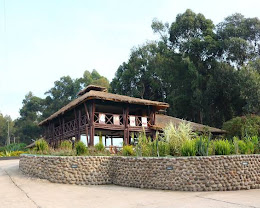 Davinci Gorilla Lodge
