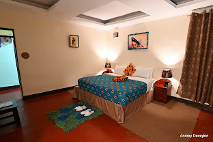 Davinci Gorilla Lodge