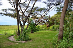 Muchenje Cottages & Campsite