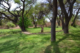 Muchenje Cottages & Campsite