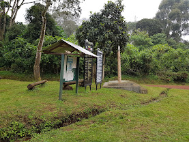 Umbwe Cave Camp