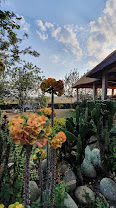 Mpogo Safari Lodge