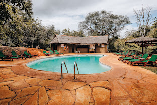 Kilaguni Serena Safari Lodge