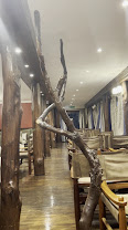 Treetops Lodge