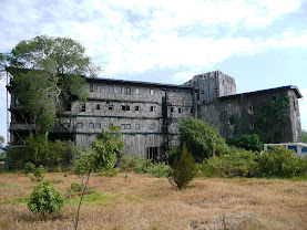 Treetops Lodge