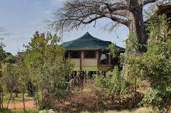 Treetops Lodge