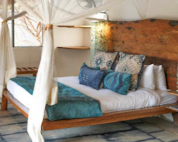Kaingo Camp