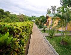 The Green Parrot Campsite & Lodge