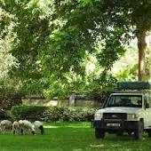 The Green Parrot Campsite & Lodge