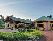 The Green Parrot Campsite & Lodge