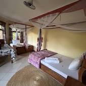 The Green Parrot Campsite & Lodge