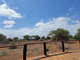 Tawi Lodge
