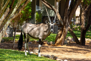 Namib Desert Lodge