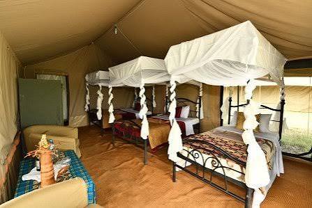Serengeti Wild Camp