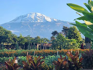 Kibo View Farm Lodge