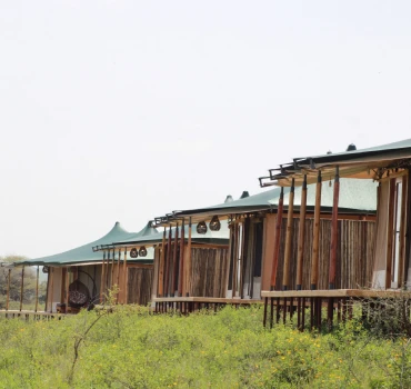 Warriors Luxury Tented Lodge