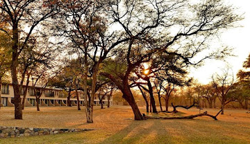 Hwange Safari Lodge