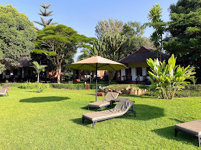 Bougainvillea Safari Lodge