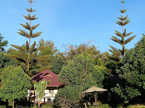 Bougainvillea Safari Lodge