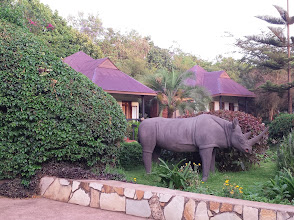 Bougainvillea Safari Lodge