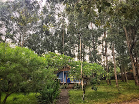 Eco-Omo Lodge Jinka