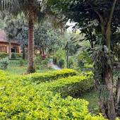 Andasibe Cyperus Hotel