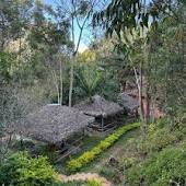 Andasibe Cyperus Hotel