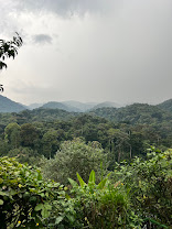 Rushaga Gorilla Havens Lodge