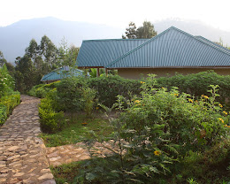 Rushaga Gorilla Havens Lodge