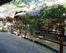 Palmarium Hotel